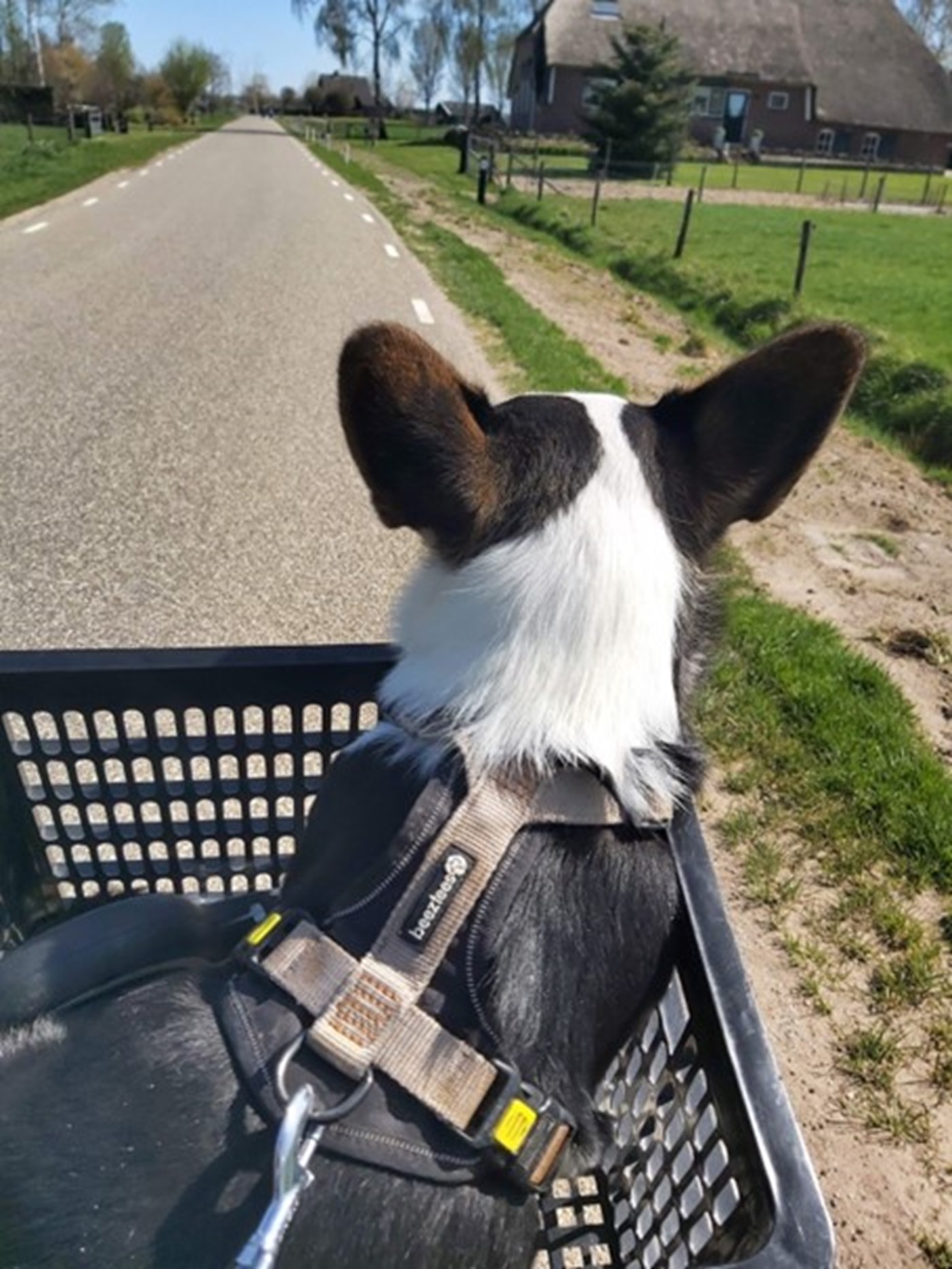 Lynn de Haan 1.jpg